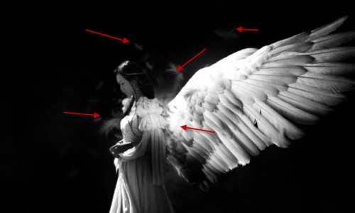3 paint feather 3 paint feather 500x300 Create a Dark Angelic Figure with Magic Fire Orb Effect in Photoshop