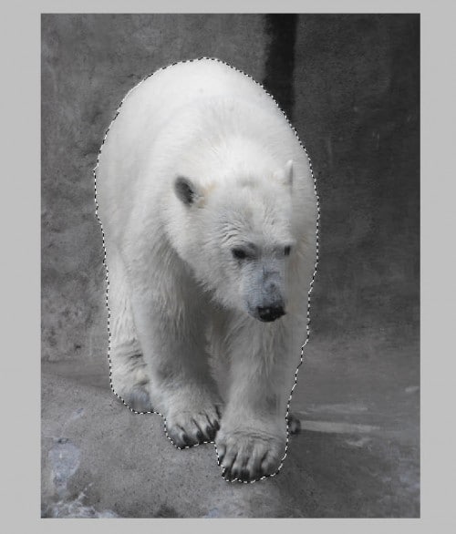 5 polar sel 500x586 Design a Snowy Arctic Text Effect in Photoshop