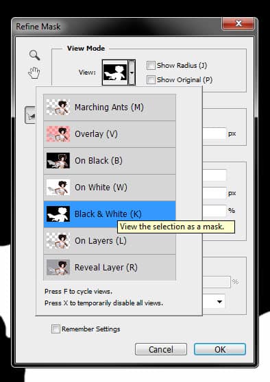 1 bw mask 1 bw mask1 Quick and Effective Hair Extraction Techinque via Refine Mask in Photoshop (CS5+)