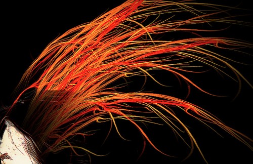 3 dup more 3 dup more 500x324 Transform Normal Portrait Image into Artistic Painting in Photoshop